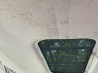 CB0539D3-076D-4983-A8D0-C79E26D452EF.jpeg CB0539D3-076D-4983-A8D0-C79E26D452EF.jpeg