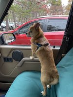 55A448E7-1C97-4007-8C17-DAC14F8BBFC4.jpeg 55A448E7-1C97-4007-8C17-DAC14F8BBFC4.jpeg