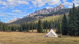 20241012_113558.jpg 20241012_113558.jpg