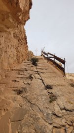 20241102_130339.jpg 20241102_130339.jpg