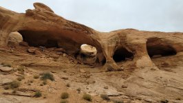 20241102_161339.jpg 20241102_161339.jpg