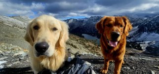 20241022_125950_copy_1600x747.jpg 20241022_125950_copy_1600x747.jpg