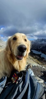 20241022_125904_copy_349x747.jpg 20241022_125904_copy_349x747.jpg