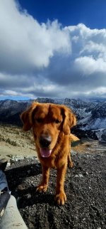 20241022_125936_copy_349x747.jpg 20241022_125936_copy_349x747.jpg