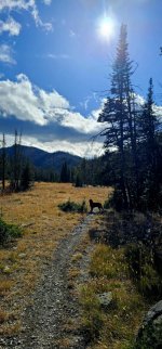 20241022_140147_copy_349x747.jpg 20241022_140147_copy_349x747.jpg