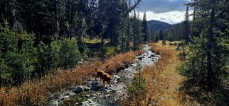 20241022_140045_copy_1600x747.jpg 20241022_140045_copy_1600x747.jpg