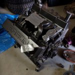 IMG_20241115_160233226 copy.jpg