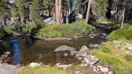 1731937725593.jpeg 1731937725593.jpeg