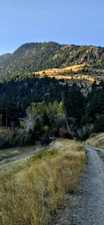 20241013_090424_copy_349x747.jpg 20241013_090424_copy_349x747.jpg