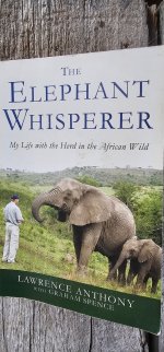 20241102_090032_copy_1200x2570.jpg 20241102_090032_copy_1200x2570.jpg