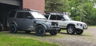 LR4 Gray & Disco II.jpeg