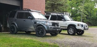 LR4 Gray & Disco II.jpeg