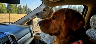 20241009_090615.jpg 20241009_090615.jpg