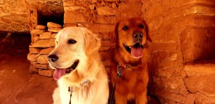 20211206_181608.jpg 20211206_181608.jpg