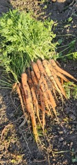 20241002_174955_copy_349x747.jpg 20241002_174955_copy_349x747.jpg