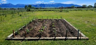 20240531_110006_copy_1600x747.jpg 20240531_110006_copy_1600x747.jpg