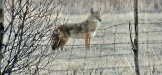 20241107_072429_copy_1200x560.jpg 20241107_072429_copy_1200x560.jpg