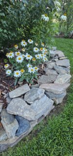 20240806_202612_copy_349x747.jpg 20240806_202612_copy_349x747.jpg