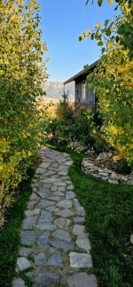 20241014_175220_copy_349x747.jpg 20241014_175220_copy_349x747.jpg