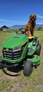 20240606_143937_copy_349x747.jpg 20240606_143937_copy_349x747.jpg