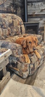 20241129_081808_copy_1200x2570.jpg 20241129_081808_copy_1200x2570.jpg