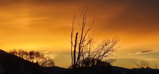 20241120_073439_copy_1600x747.jpg 20241120_073439_copy_1600x747.jpg