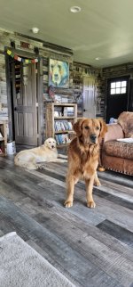 20240916_113336_copy_349x747.jpg 20240916_113336_copy_349x747.jpg