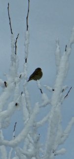 20241125_115137_copy_1200x2570.jpg 20241125_115137_copy_1200x2570.jpg