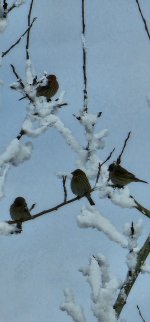 20241125_115212_copy_1200x2570.jpg 20241125_115212_copy_1200x2570.jpg