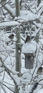 20241118_083110_copy_1200x2570.jpg 20241118_083110_copy_1200x2570.jpg