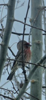 20241120_125857_copy_1200x2570.jpg 20241120_125857_copy_1200x2570.jpg