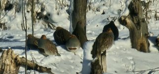 20241119_150315_copy_1200x560.jpg 20241119_150315_copy_1200x560.jpg