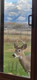 Screenshot_20241204_151321_Gallery_copy_1200x2573.jpg Screenshot_20241204_151321_Gallery_copy_1200x2573.jpg