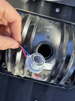 IMG_4295.JPEG IMG_4295.JPEG