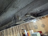 IMG_5707.JPEG IMG_5707.JPEG