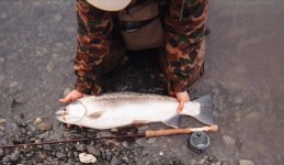 441493784.jpg 441493784.jpg