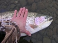 452982744.jpg 452982744.jpg