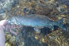 462789627.jpg 462789627.jpg