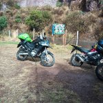 IMG_20241102_143135_953.jpg IMG_20241102_143135_953.jpg