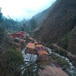 IMG_20241102_172518_731.jpg IMG_20241102_172518_731.jpg