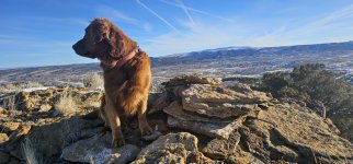 20241204_091544_copy_1600x747.jpg 20241204_091544_copy_1600x747.jpg