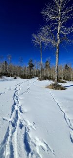 20241204_115407_copy_349x747.jpg 20241204_115407_copy_349x747.jpg