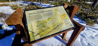 20241204_114925_copy_1600x747.jpg 20241204_114925_copy_1600x747.jpg