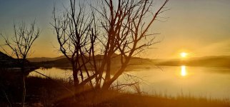 20241204_163749_copy_1600x747.jpg 20241204_163749_copy_1600x747.jpg