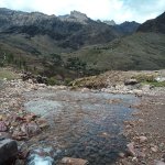 IMG_20241103_095110_287.jpg IMG_20241103_095110_287.jpg