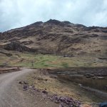 IMG_20241103_121400_155.jpg IMG_20241103_121400_155.jpg