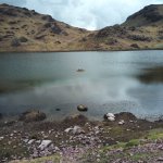 IMG_20241103_122531_041.jpg IMG_20241103_122531_041.jpg