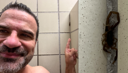 1733800024904.png 1733800024904.png