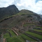 IMG_20241104_133954_598.jpg IMG_20241104_133954_598.jpg