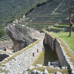 IMG_20241104_141038_201.jpg IMG_20241104_141038_201.jpg